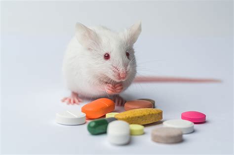Do 95 out of every 100 drugs that pass animal tests fail in humans?